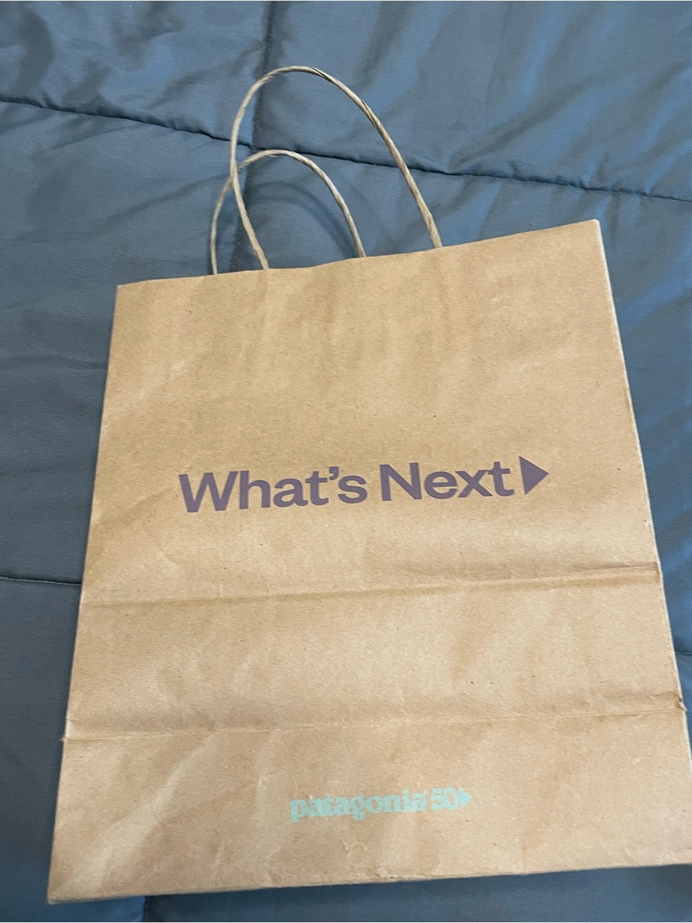 Patagonia Store Shopping Bag - Medium